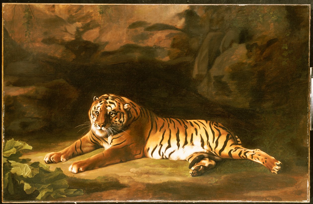 Portret van de Koninklijke Tijger, ca. 1770 door George Stubbs