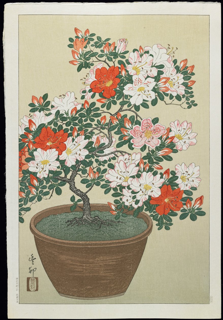 Azalea in pot, jaren 1930 door Ohara Koson