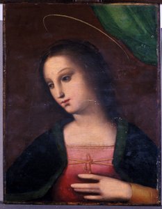 Portret van Maria