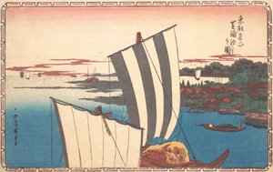 Schelpen verzamelen bij Shibaura
