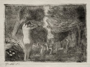 Bader en ganzen, 1895