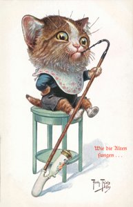 Humoristische kattenkaart