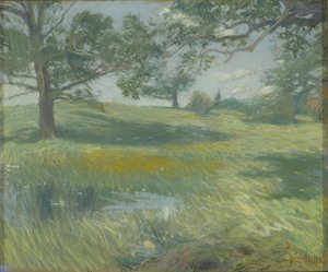 Weiden, c.1900-10