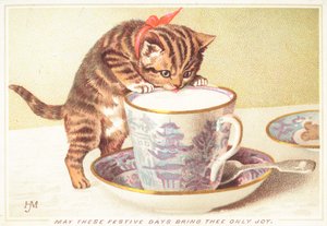 Kitten drinkt uit theekopje