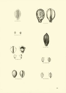 Pagina uit Het Picturale Museum van Geanimeerde Natuur