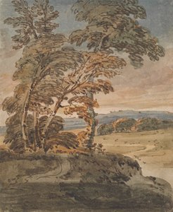 Bomen op een heuvelpad