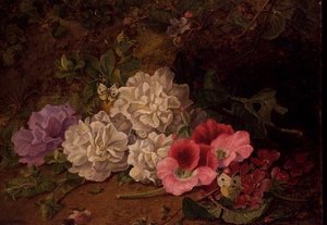 AB/52 Stilleven met vlinders