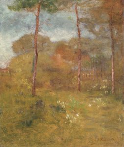 Oranje Weg, Tarpon Springs, c.1893