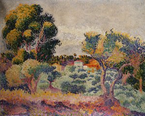 Eucalyptus- en olijfboomgaard
