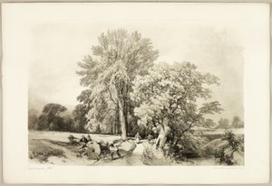 Abele en Eik, uit Het Park en het Bos