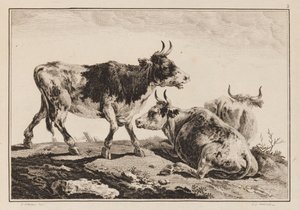 Plaat 2, uit "Cahier de Six Feuilles de Boeufs et Vaches"