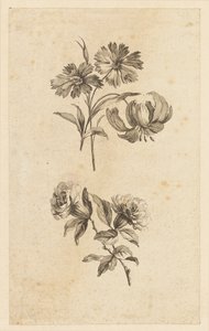Twee bloemen takjes