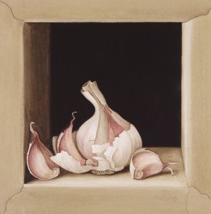 Knoflook, 2005