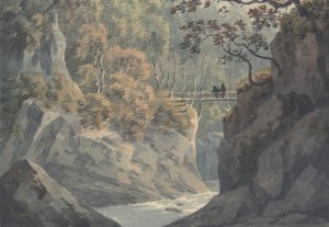 Alpenbrug en boslandschap nabij Pistil y Maw