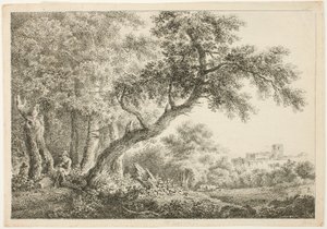 Wandelaar rustend in het bos