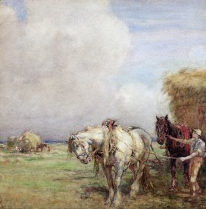 De hooikar