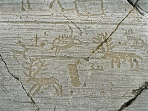 Prehistorie, beschaving van de Camunni, rotstekeningen: grafrots met de voorstelling van herten. Periode tussen het Neolithicum en de Bronstijd. Rots. 1. Capo di Ponte, Parco nazionale delle incisioni rupestri di Naquane, Valcamonica, Val Camonica, Italië