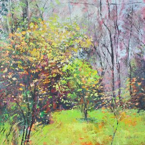 Lente Glans