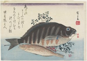 Zeebrasem, zoetvis en nandina takken, c. 1840