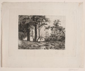 Eikenbomen aan de rand van een bos