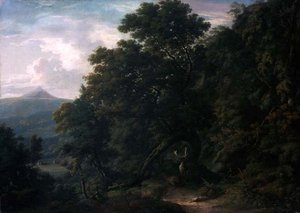 Uitzicht op Powerscourt Demesne